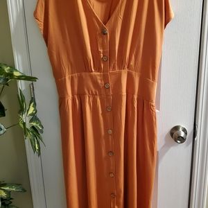 Curvy Summer Dress